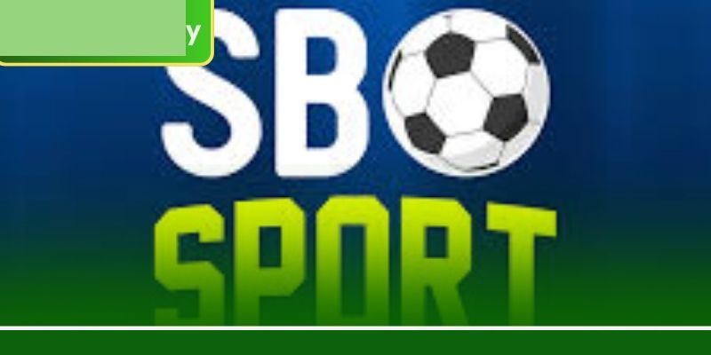 এসবিও স্পোর্ট: 6777BET-এ প্রতিদিন ১০০+ লাভজনক বেটিং মার্কেট